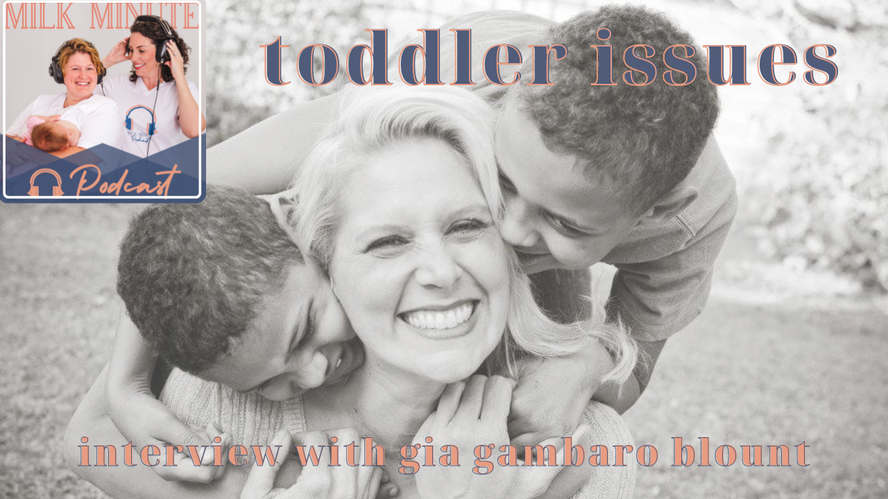 ep-142-breastfeeding-and-toddler-behavior-issues-interview-with